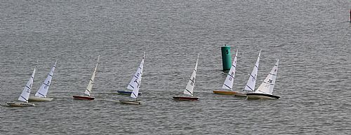 A Dead Crab Regatta start
